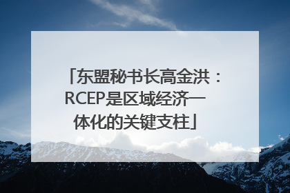 东盟秘书长高金洪：RCEP是区域经济一体化的关键支柱
