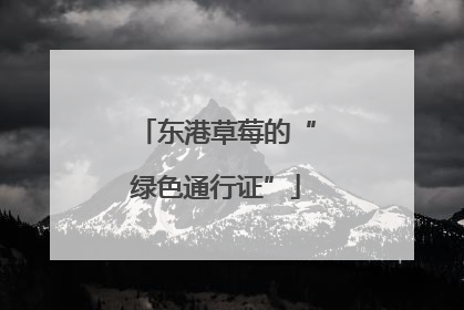 东港草莓的“绿色通行证”