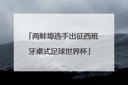 两蚌埠选手出征西班牙桌式足球世界杯