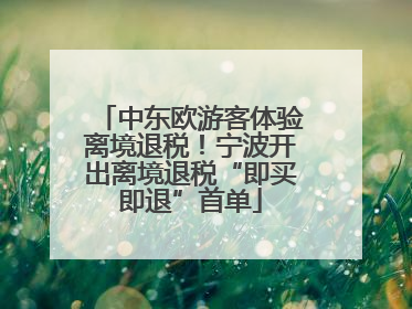 中东欧游客体验离境退税！宁波开出离境退税“即买即退”首单