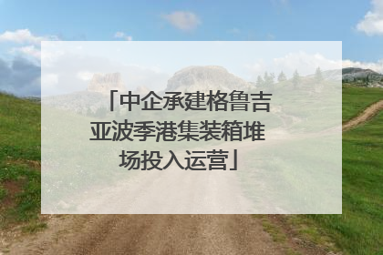 中企承建格鲁吉亚波季港集装箱堆场投入运营