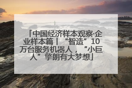 中国经济样本观察·企业样本篇丨“智造”10万台服务机器人，“小巨人”擎朗有大梦想