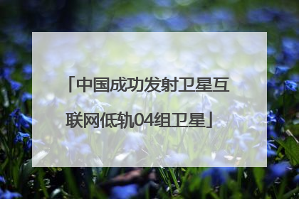 中国成功发射卫星互联网低轨04组卫星