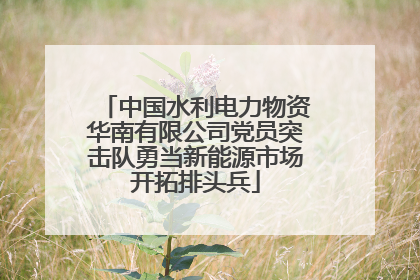 中国水利电力物资华南有限公司党员突击队勇当新能源市场开拓排头兵