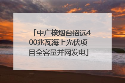 中广核烟台招远400兆瓦海上光伏项目全容量并网发电