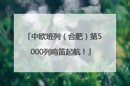 中欧班列（合肥）第5000列鸣笛起航！
