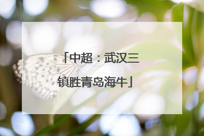 中超：武汉三镇胜青岛海牛