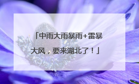 中雨大雨暴雨+雷暴大风，要来湖北了！