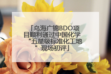 乌海广锦BDO项目顺利通过中国化学“五星级标准化工地”现场初评
