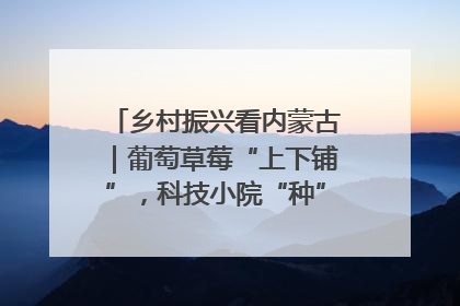 乡村振兴看内蒙古｜葡萄草莓“上下铺”，科技小院“种”出三倍效益