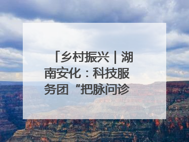 乡村振兴|湖南安化:科技服务团“把脉问诊”水果产业
