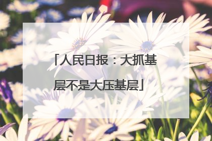 人民日报：大抓基层不是大压基层