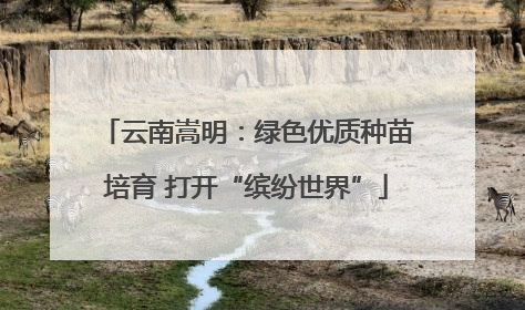 云南嵩明：绿色优质种苗培育 打开“缤纷世界”