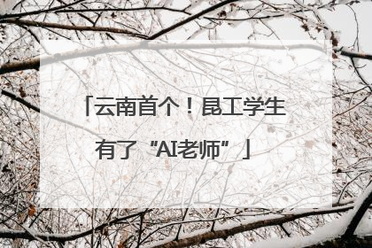 云南首个！昆工学生有了“AI老师”