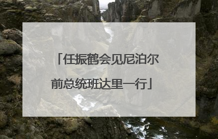 任振鹤会见尼泊尔前总统班达里一行