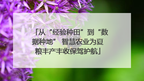 从“经验种田”到“数据种地” 智慧农业为夏粮丰产丰收保驾护航