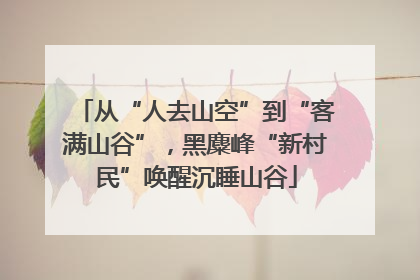 从“人去山空”到“客满山谷”，黑麋峰“新村民”唤醒沉睡山谷