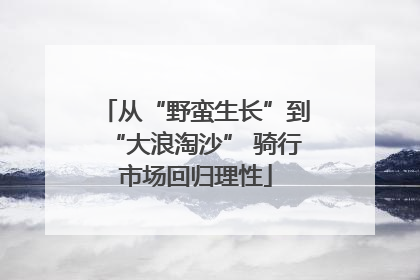 从“野蛮生长”到“大浪淘沙” 骑行市场回归理性
