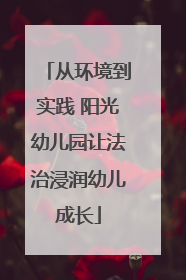从环境到实践 阳光幼儿园让法治浸润幼儿成长