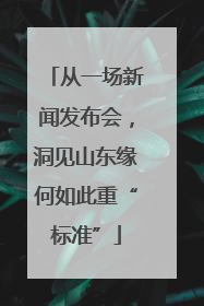 从一场新闻发布会，洞见山东缘何如此重“标准”