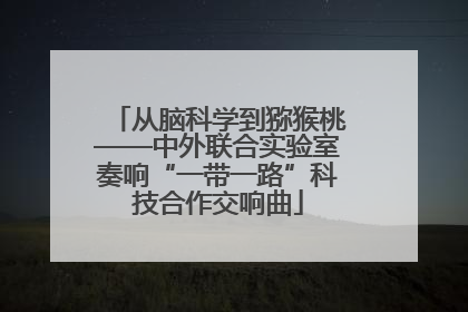 从脑科学到猕猴桃——中外联合实验室奏响“一带一路”科技合作交响曲