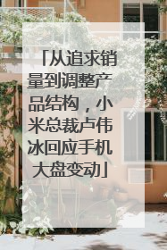 从追求销量到调整产品结构，小米总裁卢伟冰回应手机大盘变动