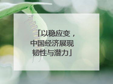 以稳应变，中国经济展现韧性与潜力