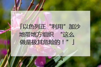 以色列正“利用”加沙地带地方组织  “这么做是极其危险的！”