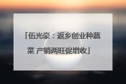 伍光豪：返乡创业种蔬菜 产销两旺促增收