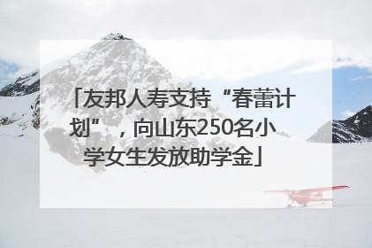 友邦人寿支持“春蕾计划”，向山东250名小学女生发放助学金