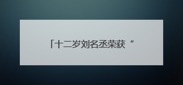 十二岁刘名丞荣获“长安长安国赛荣誉”小学高年级组一等奖