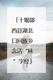 十堰郧西县湖北口回族乡念活“林”字经