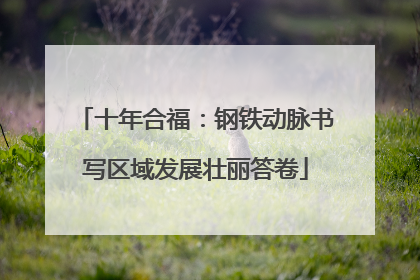 十年合福：钢铁动脉书写区域发展壮丽答卷