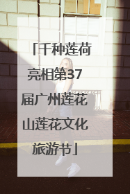 千种莲荷亮相第37届广州莲花山莲花文化旅游节