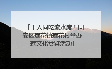 千人同吃流水席！同安区莲花镇莲花村举办莲文化赏鉴活动