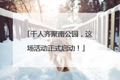 千人齐聚南公园，这场活动正式启动！