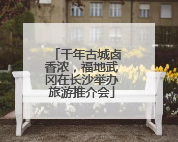 千年古城卤香浓，福地武冈在长沙举办旅游推介会