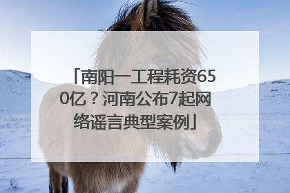 南阳一工程耗资650亿？河南公布7起网络谣言典型案例