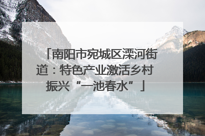 南阳市宛城区溧河街道：特色产业激活乡村振兴“一池春水”