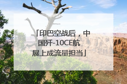 印巴空战后，中国歼-10CE航展上成流量担当