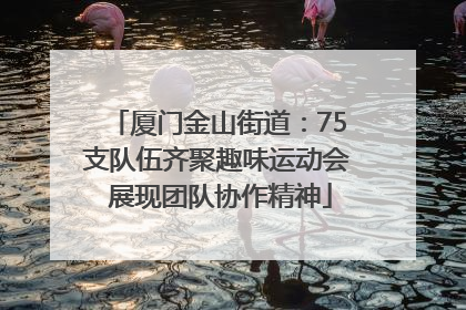 厦门金山街道：75支队伍齐聚趣味运动会 展现团队协作精神