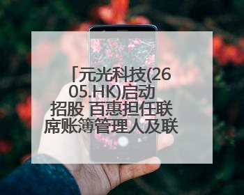元光科技(2605.HK)启动招股 百惠担任联席账簿管理人及联席牵头经办人
