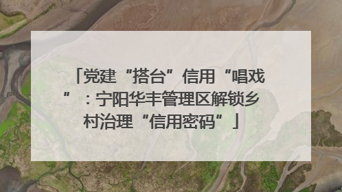 党建“搭台”信用“唱戏”：宁阳华丰管理区解锁乡村治理“信用密码”