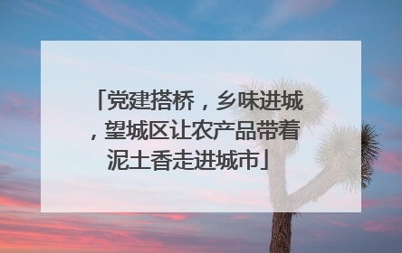 党建搭桥，乡味进城，望城区让农产品带着泥土香走进城市