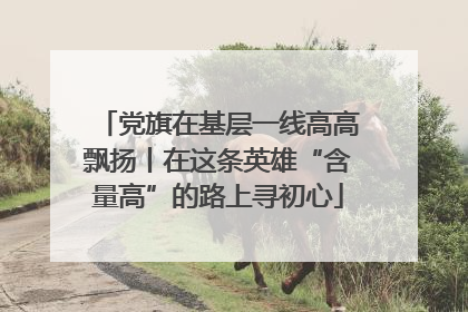 党旗在基层一线高高飘扬丨在这条英雄“含量高”的路上寻初心