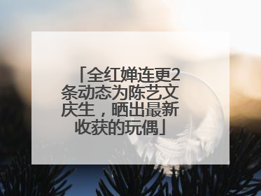 全红婵连更2条动态为陈艺文庆生，晒出最新收获的玩偶