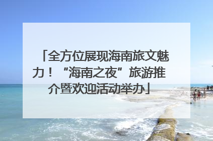 全方位展现海南旅文魅力！“海南之夜”旅游推介暨欢迎活动举办