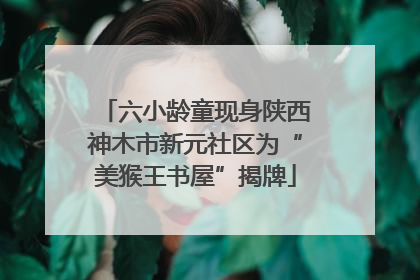 六小龄童现身陕西神木市新元社区为“美猴王书屋”揭牌