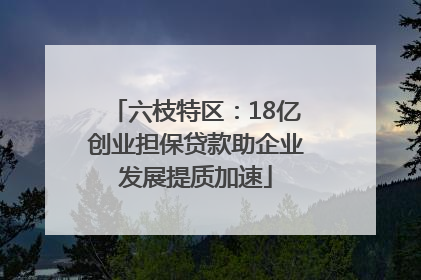 六枝特区：18亿创业担保贷款助企业发展提质加速