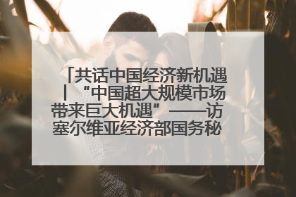 共话中国经济新机遇丨“中国超大规模市场带来巨大机遇”——访塞尔维亚经济部国务秘书尼科利奇